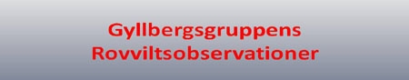 Gyllbergsgruppens rovviltsobservationer